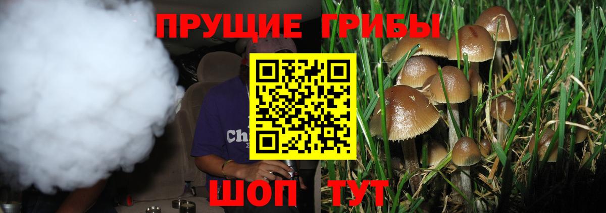 Галлюциногенные грибы Psilocybine cubensis  Псилоцибиновые грибы Magic Shrooms  Удомля  Вход с VPN 